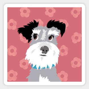 Salt and Pepper Miniature Schnauzer on Pink Daisy Background Magnet